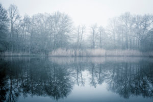 Foggy spring morning Foggy spring morning